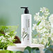 Bergamot & Rosemary Gentle Shampoo